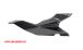 BMW S 1000 XR (2020- ) Carbon Tail Fairing Kit
