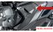 BMW R1300R Carbon frame triangle cover