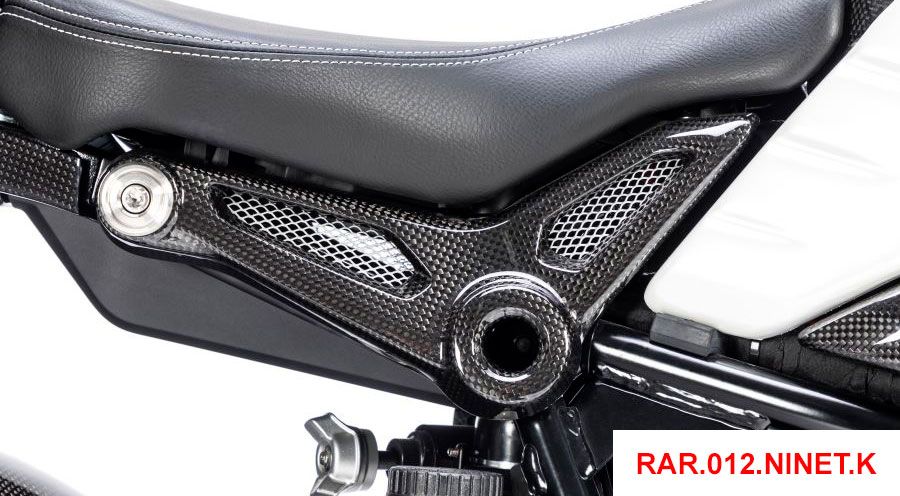 BMW R nine T Carbon Rear Frame Cover