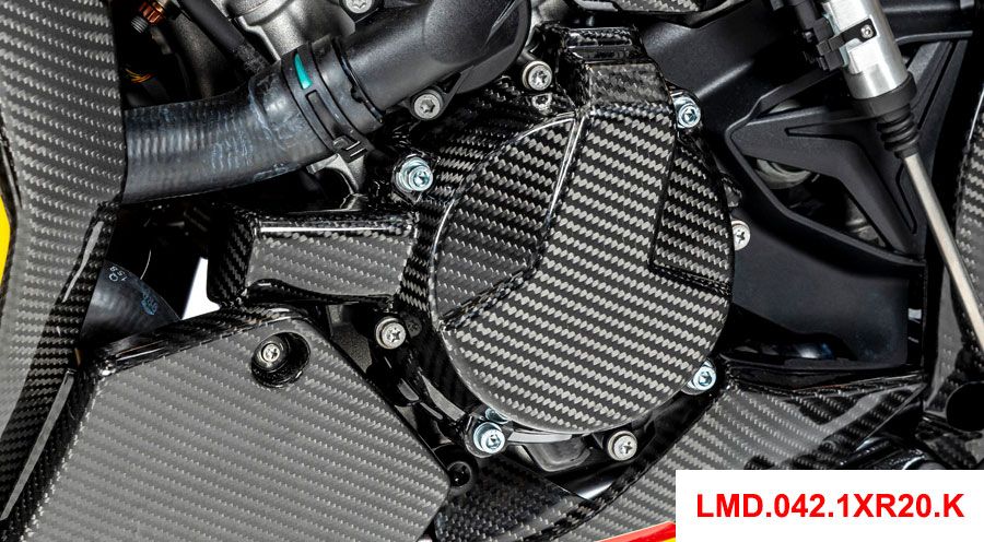 BMW S 1000 XR (2020- ) Alternator Cover