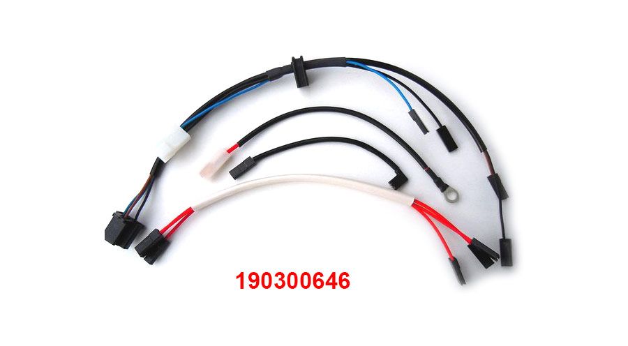 BMW R 80 Model Alternator wiring kit
