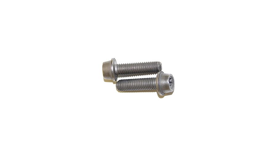 BMW K1600GT & K1600GTL 2x screws M8x30