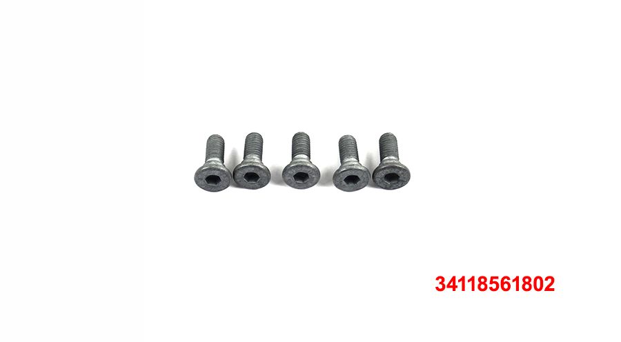 BMW G 310 R 5 screws for front / rear brake disc