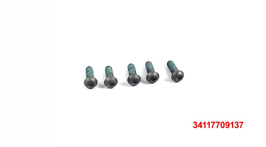 BMW F650GS (08-12), F700GS & F800GS (08-18) 5 screws M6x18-8.8-MK