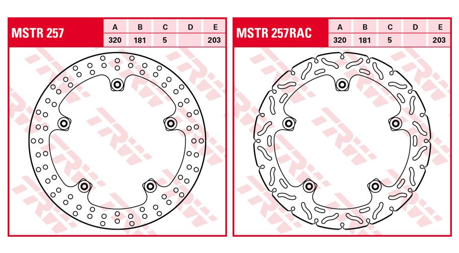 BMW K1200GT (2006-2008) Front Brake Discs Rivet Pack