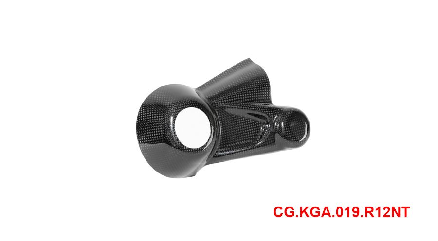 BMW R12nineT, R12, R12S & R12G/S Carbon cardan housing cover