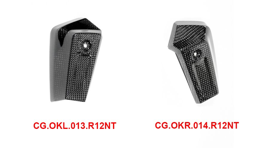BMW R12nineT, R12, R12S & R12G/S Carbon oil cooler cover