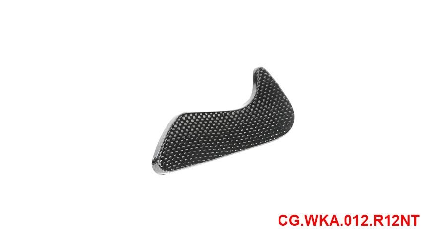 BMW R12nineT, R12, R12S & R12G/S Toolbox cover carbon fibre