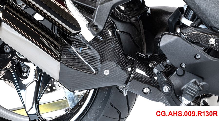 BMW R1300RS Carbon Exhaust Protector front