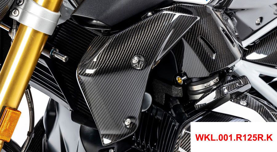 BMW R 1250 R Carbon Radiator Cover