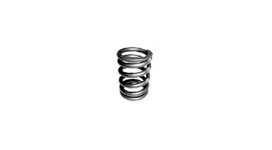 BMW R 100 Model Valve spring for all R2V models