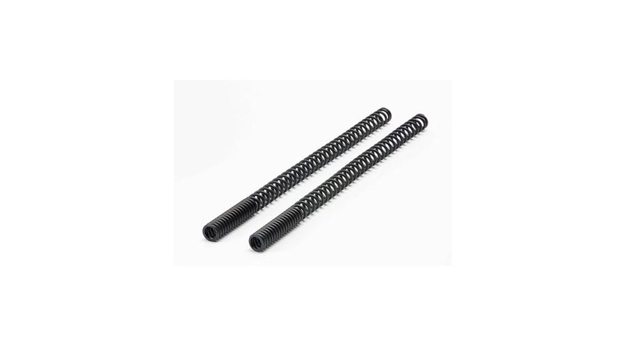 BMW R 80 Model Fork spring set