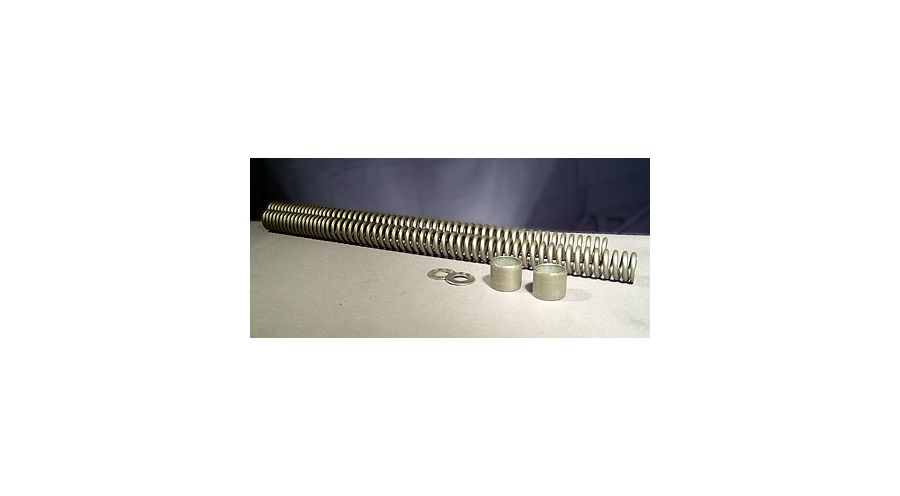 BMW R 80 Model Fork spring set