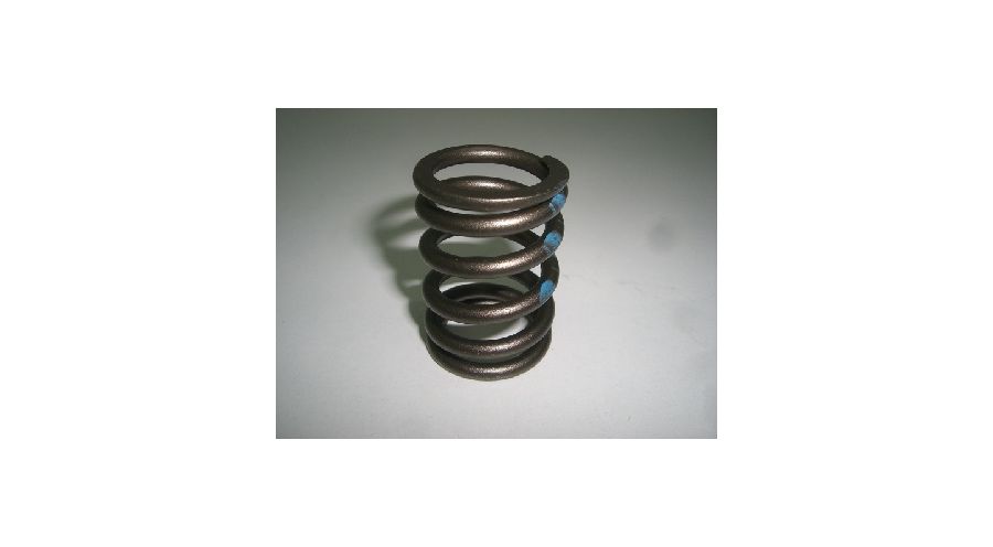 Valve spring for all R2V models for BMW R 80 Model | Motorcycle ...