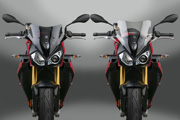 ZTechnik Windscreen for BMW S 1000 R