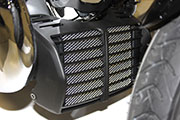 Cooler screen for BMW R18