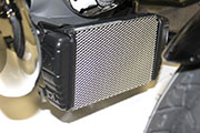 Cooler screen for BMW R18