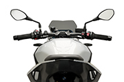 Sport windshield for BMW S1000R (2021- )