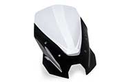 Touring windshield for BMW R1300R