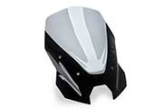 Touring windshield for BMW R1300R